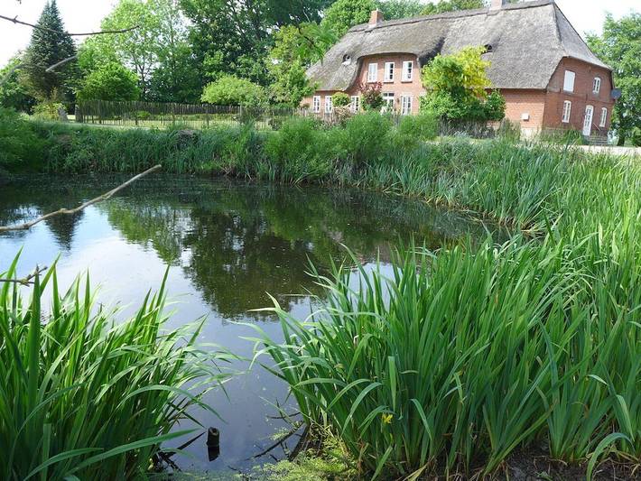 Ferienwohnung in Sörup mit Schwimmbecken in Sörup, Schleswig-Flensburg