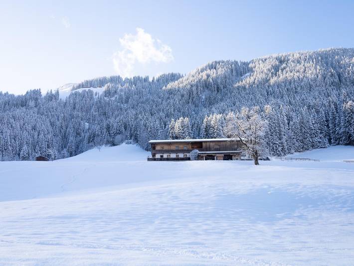 Ganze Wohnung, Ferienwohnung im Bauernhaus mit Ausblick in Inneralpbach, Alpbach