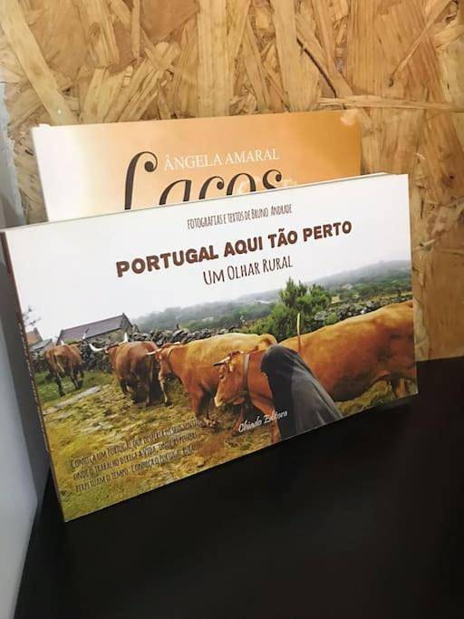 Gîte pour 3 personnes, avec terrasse à Guarda - 4