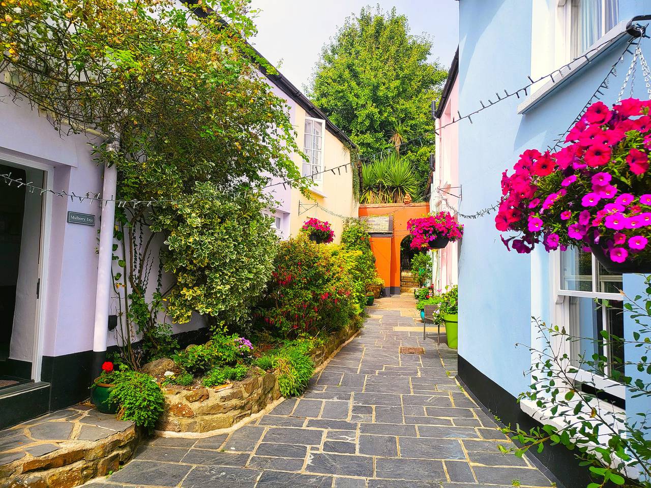 Pear Tree Cottage in Appledore, Devon