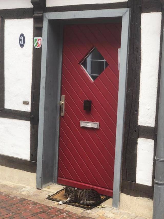 Charmantes Fachwerkhaus in der Innenstadt in Minden, Kreis Minden-Lübbecke