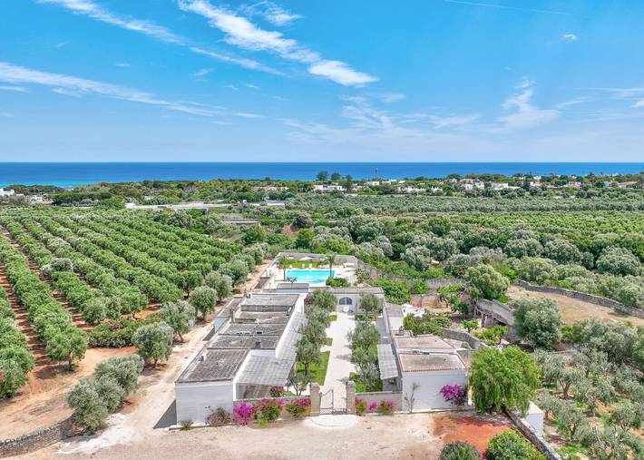 Hotel für 2 Personen, mit Garten und Pool in Ostuni - 2