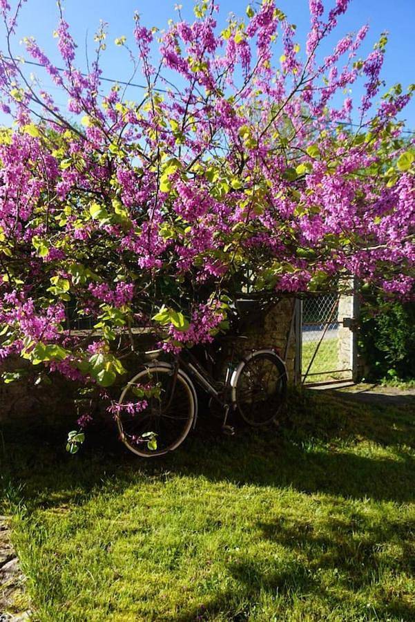 Location de vacances pour 8 personnes, avec vue ainsi que piscine et jardin, animaux acceptés à Azerables - 3