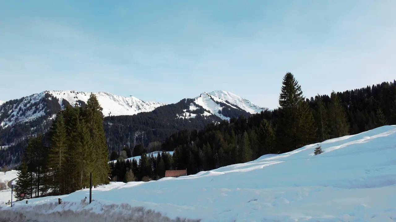 Ganze Ferienwohnung, Ferienwohnung für 5 Personen (70 m²) in Hirschegg Kleinwalsertal, Mittelberg
