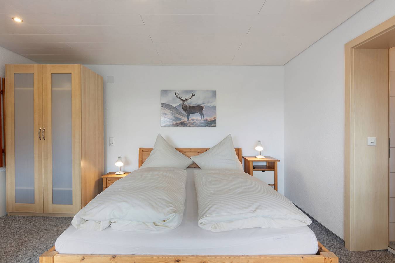 Ganze Wohnung, Apartment '30' mit Bergblick, gemeinsamer Terrasse und Wlan in Suedlicher Schwarzwald, Todtnau