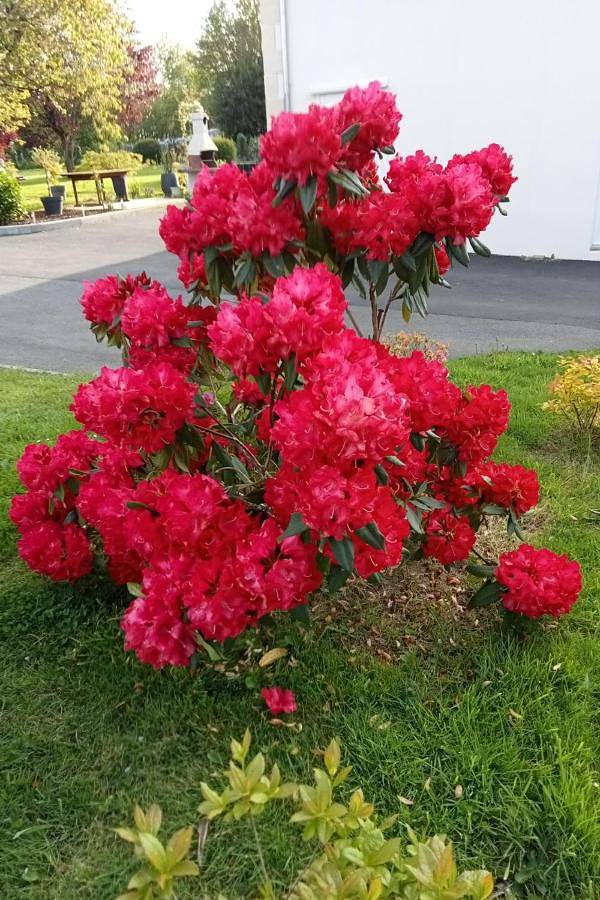 Location de vacances pour 4 personnes, avec terrasse à Ménéac - 2