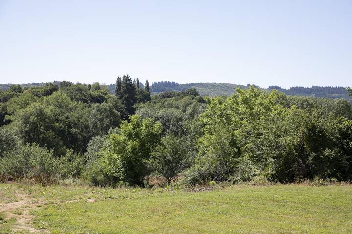Gîte für 15 Personen, mit Terrasse und Pool sowie Garten in Frankreich - 4