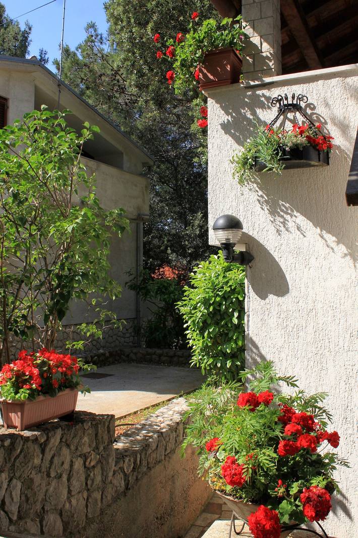 Ganze Wohnung, 1-Zimmer-Ferienwohnung mit Terrasse Artatore, Losinj -c in Mali Lošinj, Aratore