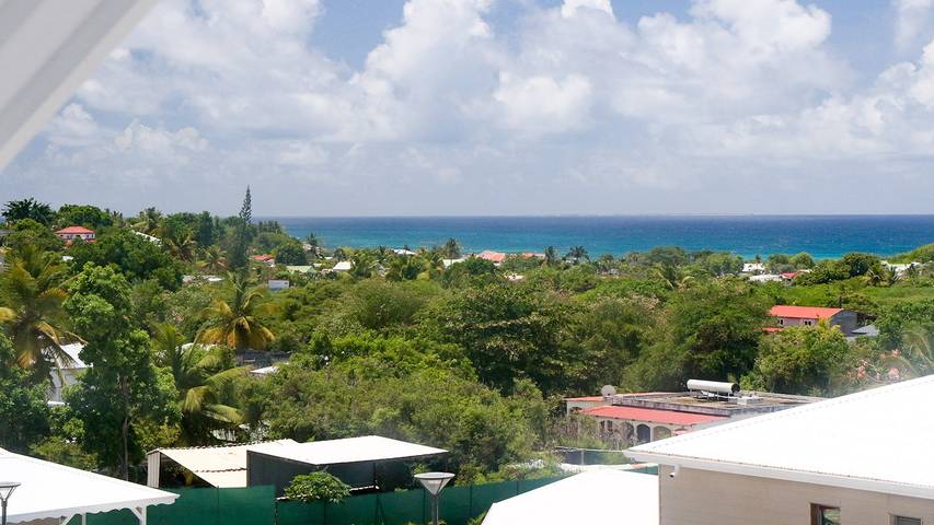 Villa pour 8 personnes, avec piscine ainsi que terrasse et jardin, animaux acceptés en Guadeloupe - 4