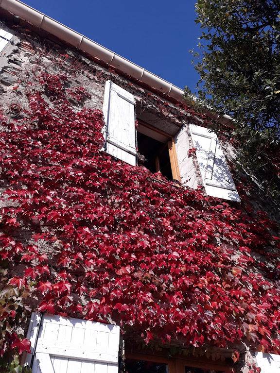 Appartement de vacances pour 4 personnes, avec terrasse et jardin, animaux acceptés dans l' Aude - 4