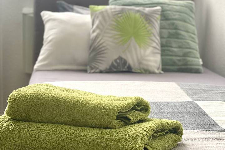 Ferienwohnung für 2 Personen, mit Balkon, mit Haustier in Mainz - 4