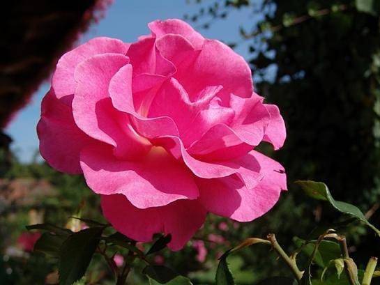 Ferienwohnung für 4 Personen, mit Ausblick und Garten in Wackersberg - 2