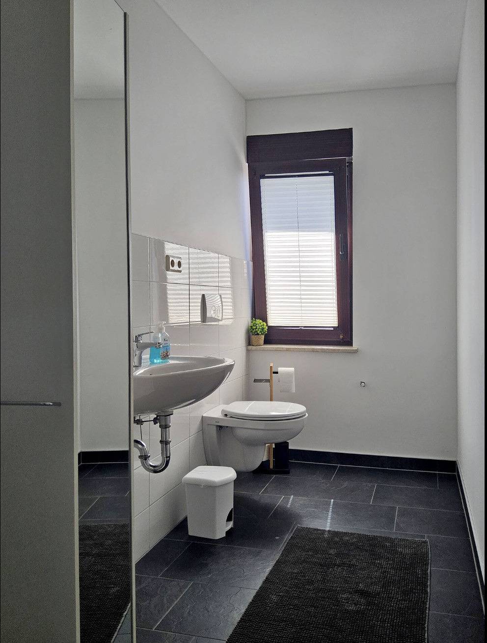 Ganze Wohnung, Haus Freigeist - Wohnung zum Wanderer in Friedrichsbrunn, Thale