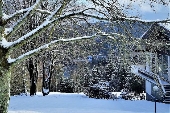 Ganze Wohnung, Fewo mit Xl-Naturgarten & sonniger Terrasse in Schulenberg im Oberharz, Harzvorland