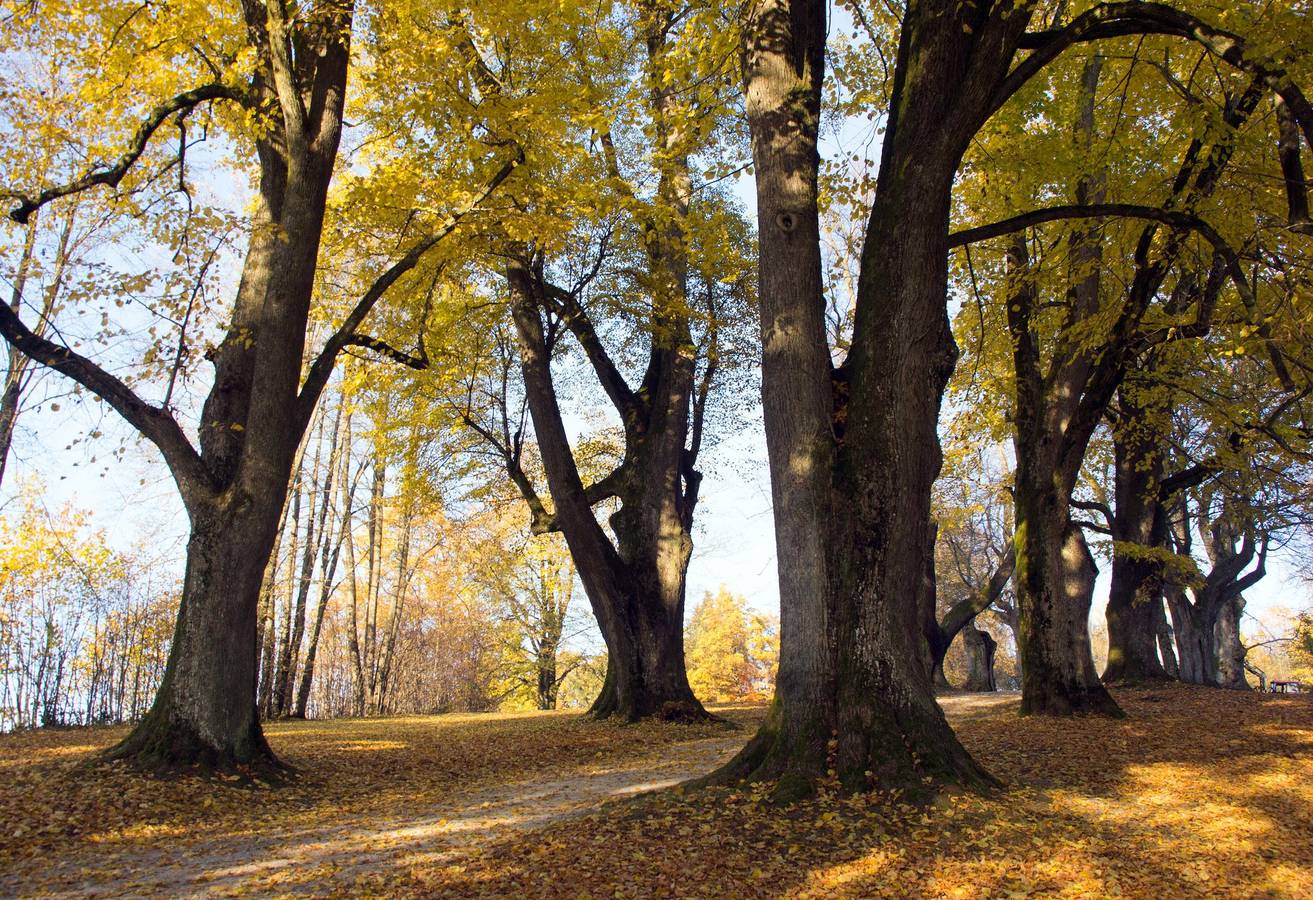 Fewo Karoli - Ferienwohnung 50qm mit Balkon in Waldkirchen, Eastern Bavaria