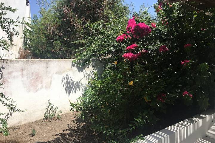 Appartement entier, Cottage with large garden in the center of Panarea in Panarea