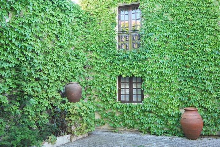 Maison d’hôte pour 2 personnes à Vila Nova de Milfontes