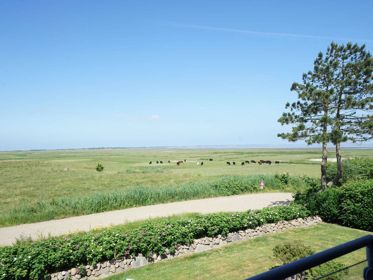 Ganze Wohnung, Schöne Ferienwohnung in Morsum in Sylt-Ost, Sylt (Gemeinde)