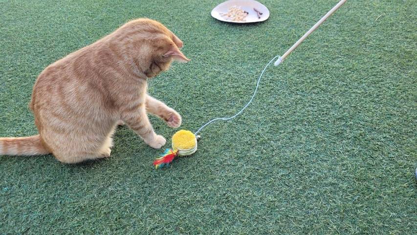 Casa rural para 4 personas, con piscina además de vistas y jardín en Puerto del Rosario - 2