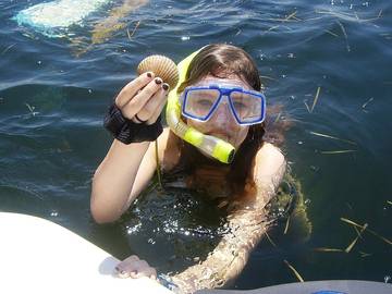Log Cabin for 4 People in Homosassa, Florida, Photo 3