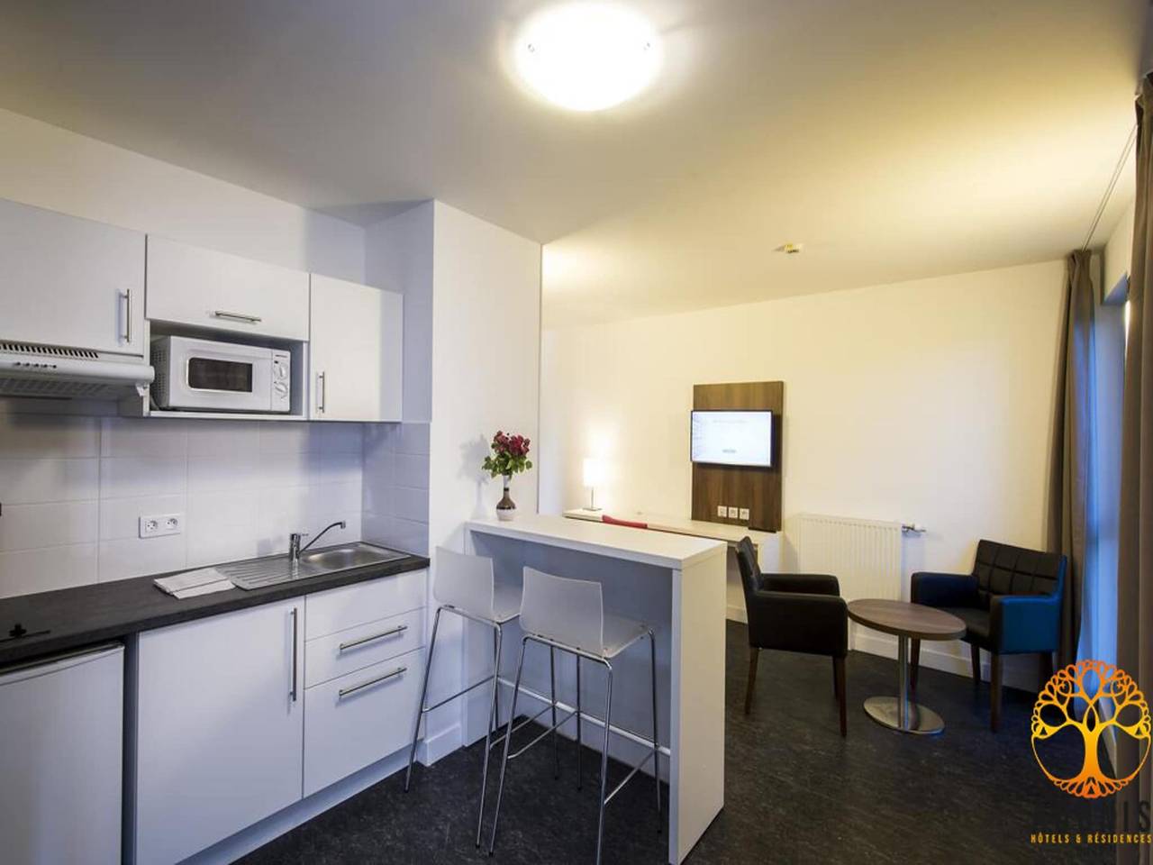 Apartamento entero, Apartamento doble Adonis Dijon in Dijon, Región de Dijon