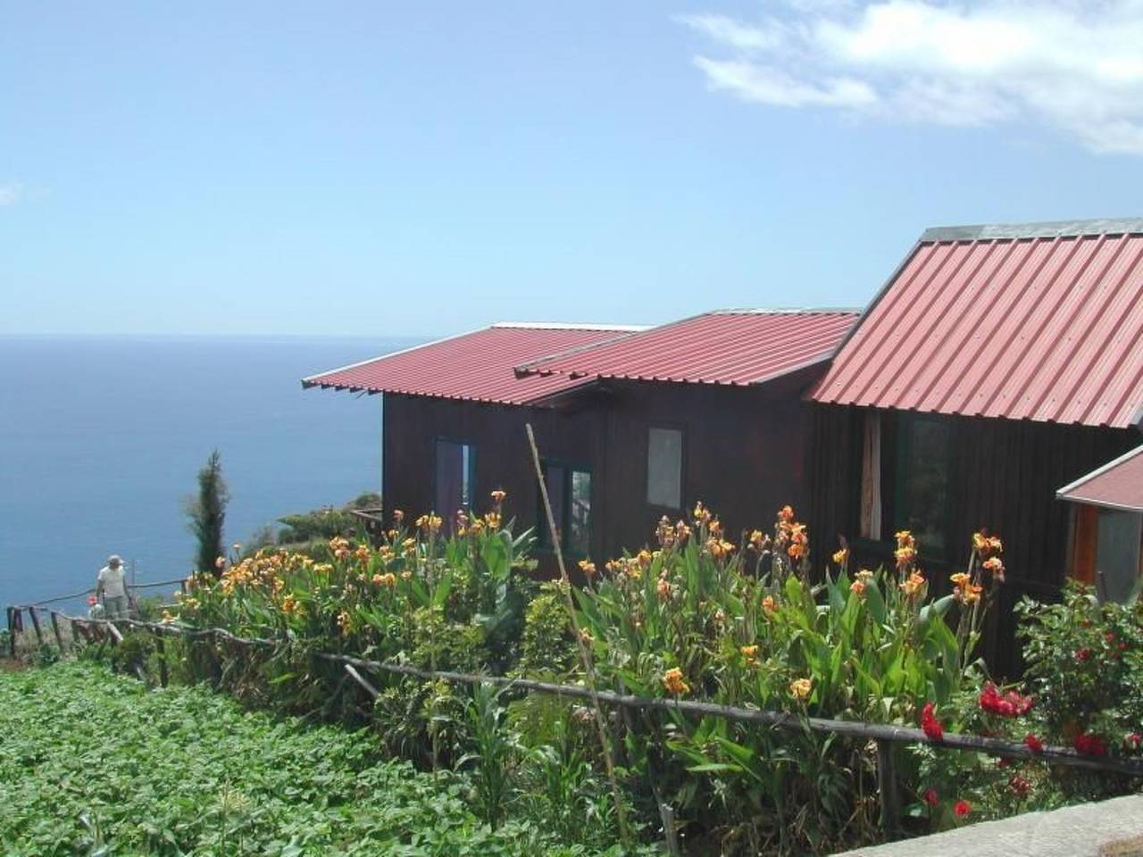 In Canhas mit Schönem Garten in Canhas (Madeira), Madeira