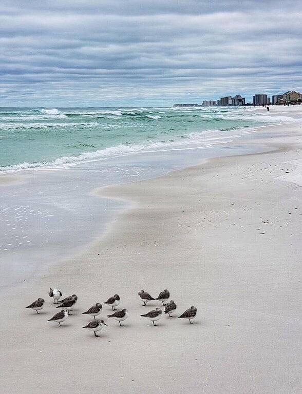 Walton Dunes 7, Beachfront, Private Beach. 2 Chair/1 Umbrella Set up Included. in Emerald Coast