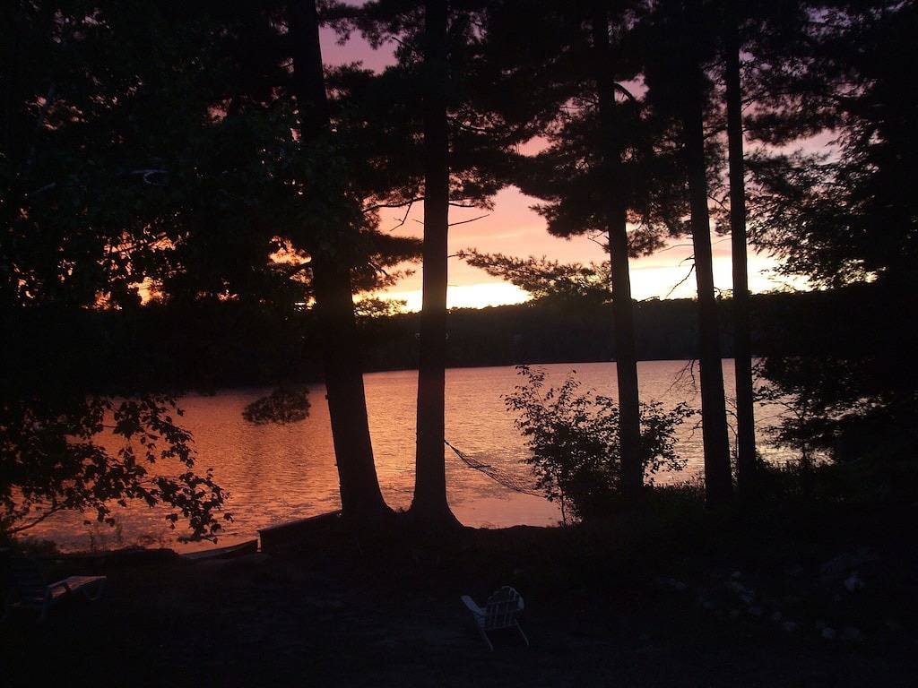 Blue Heron Cove mit Algonquin Pass & Schneeschuhen. Bring dein Haustier frei! in Muskoka