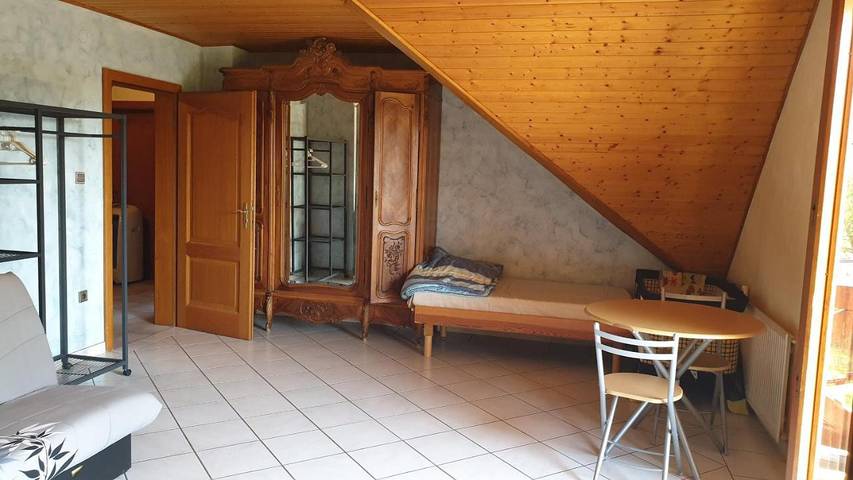 Location de vacances pour 6 personnes, avec jardin et bassin pour enfant ainsi que piscine et vue, adapté aux familles à Sausheim - 3