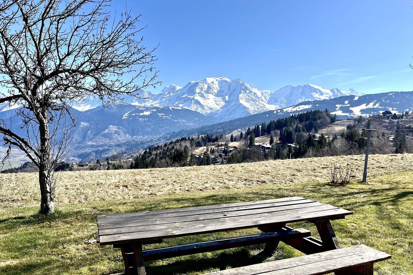 Appartement entier, Beau T3 avec jardin - vue sur Mont Blanc in Combloux, Pays du Mont-Blanc