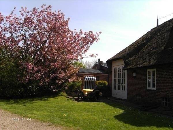 Ferienwohnung für 6 Personen, mit Terrasse und Garten in Morsum - 2