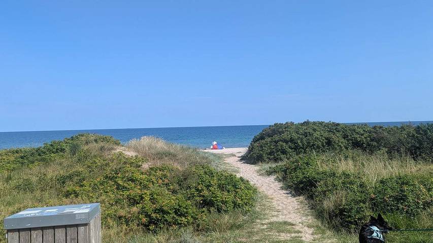 Ferienhaus für 7 Personen, mit Terrasse in Gedesby - 4