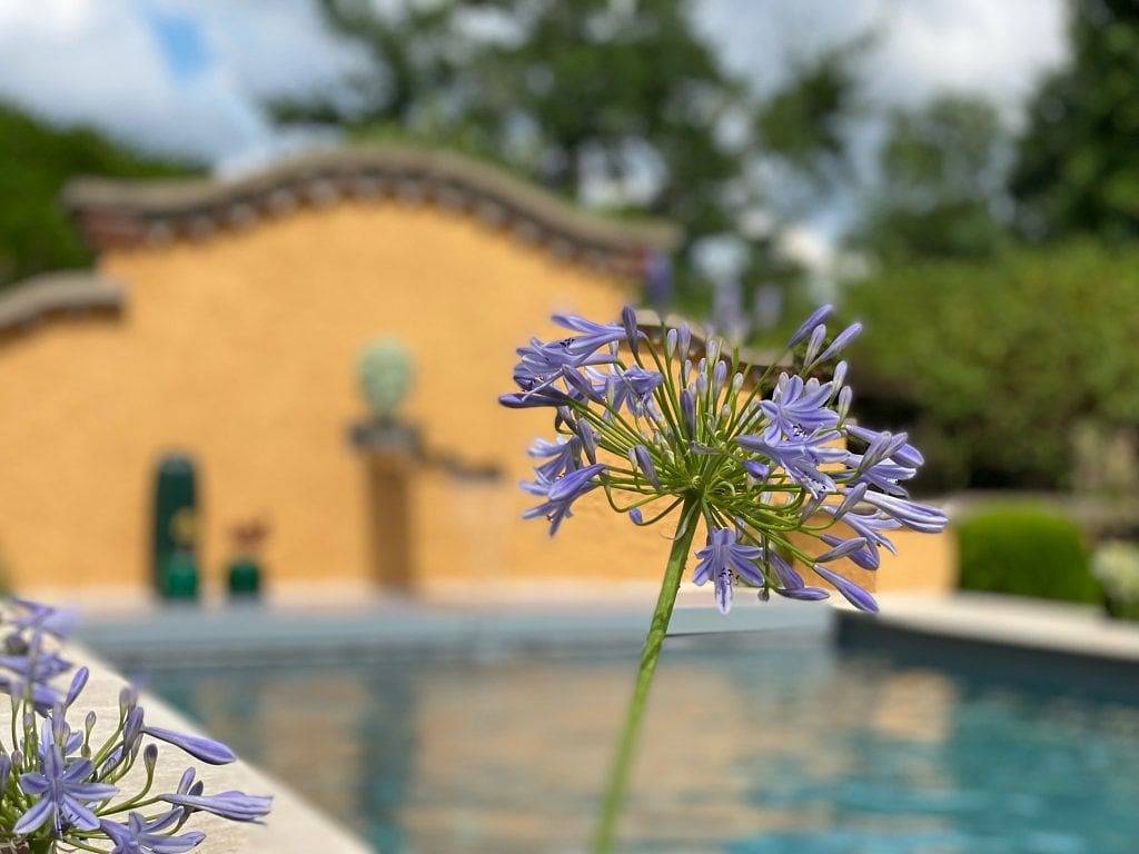 Le Rez de Jardin Albi - Maison d'hôtes - Chambre 2 in Albi, Région d'Albi