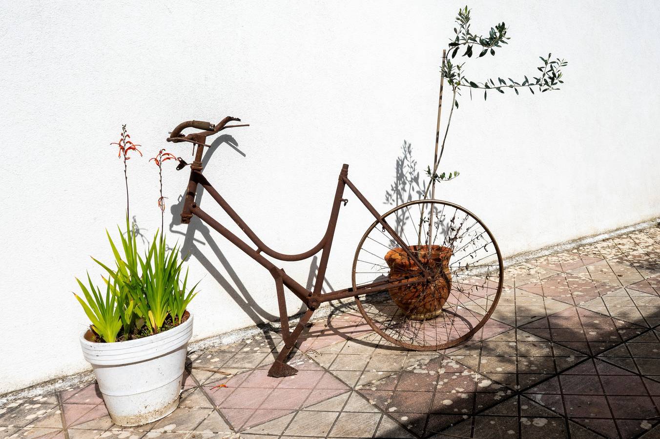 Ferienhaus 'Db - Mimosa' mit privater Terrasse, Wlan und Klimaanlage in Giurdignano, Lecce Provinz
