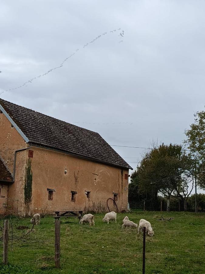 Chambre d’hôte pour 4 personnes, avec Terrasse ainsi que Jardin et Vue