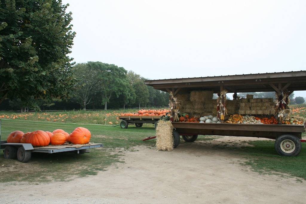 Makelloses Haus in Springs / East Hampton mit Pool in Springs, Hamptons