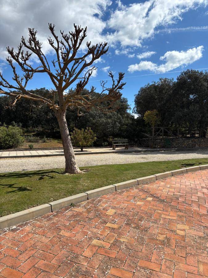Hotel para 2 personas, con terraza y jardín además de vistas y piscina en Archidona - 4