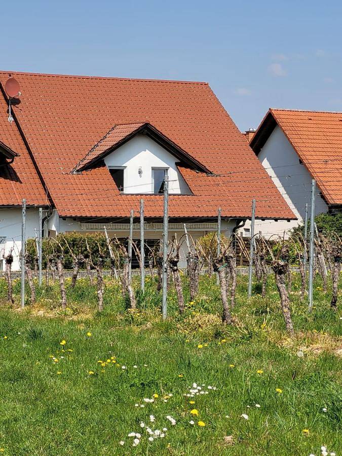 Ferienhaus für 7 Personen, mit Garten und Ausblick