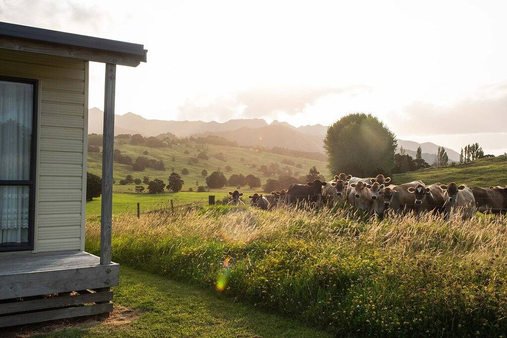 Bauernhofaufenthalt - großer Rückzug mit panoramischen Ansichten in Whangarei District
