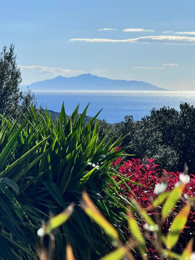 Apartamento de vacaciones para 4 personas, con jardín y vistas - 1
