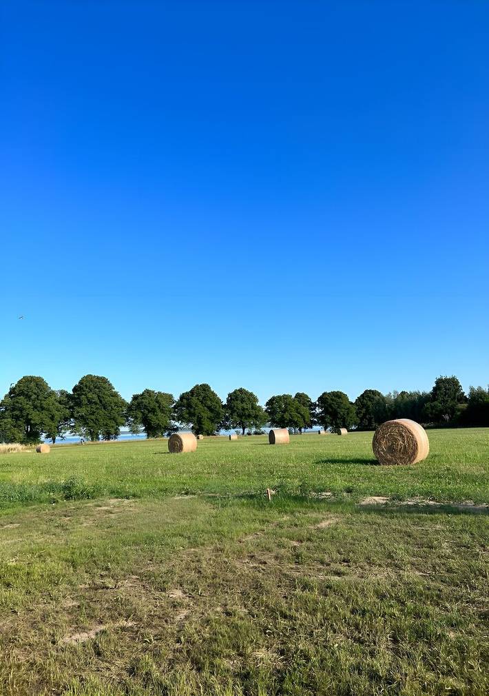 Ferienhaus für 8 Personen, mit Sauna in Pepelow - 3