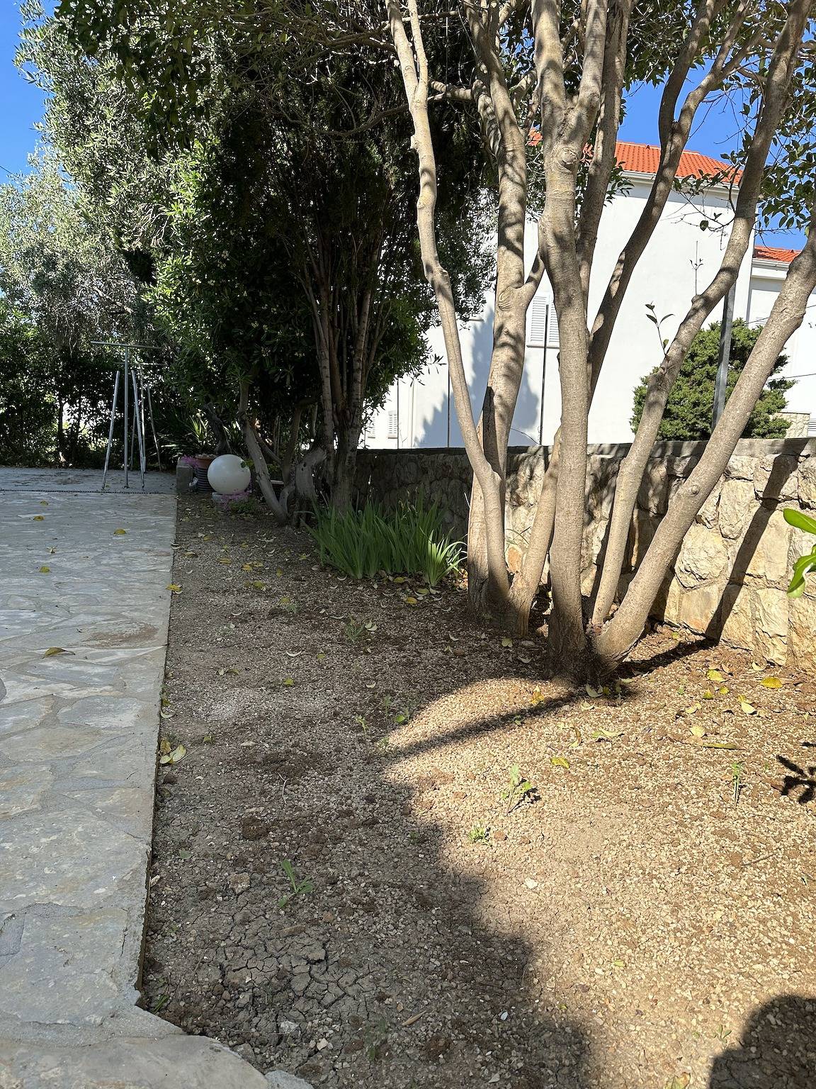Entire apartment, One bedroom apartment with terrace Novalja, Pag A-22963-a in Novalja, Pag Island