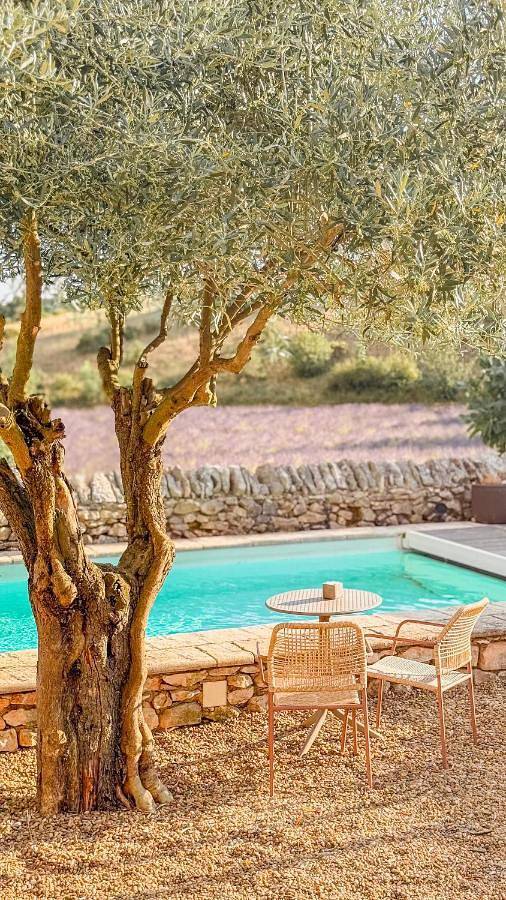 Location de vacances pour 19 personnes, avec piscine ainsi que vue et jardin, animaux acceptés à Simiane-la-Rotonde - 4