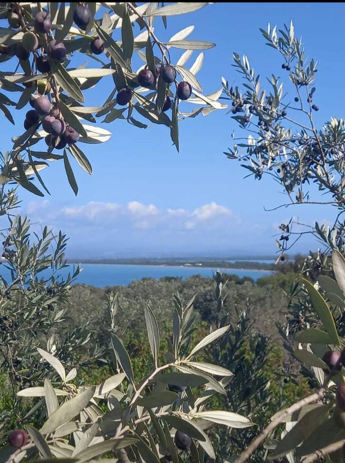 Ferienhaus für 8 Personen, mit Garten in Monte Argentario - 2