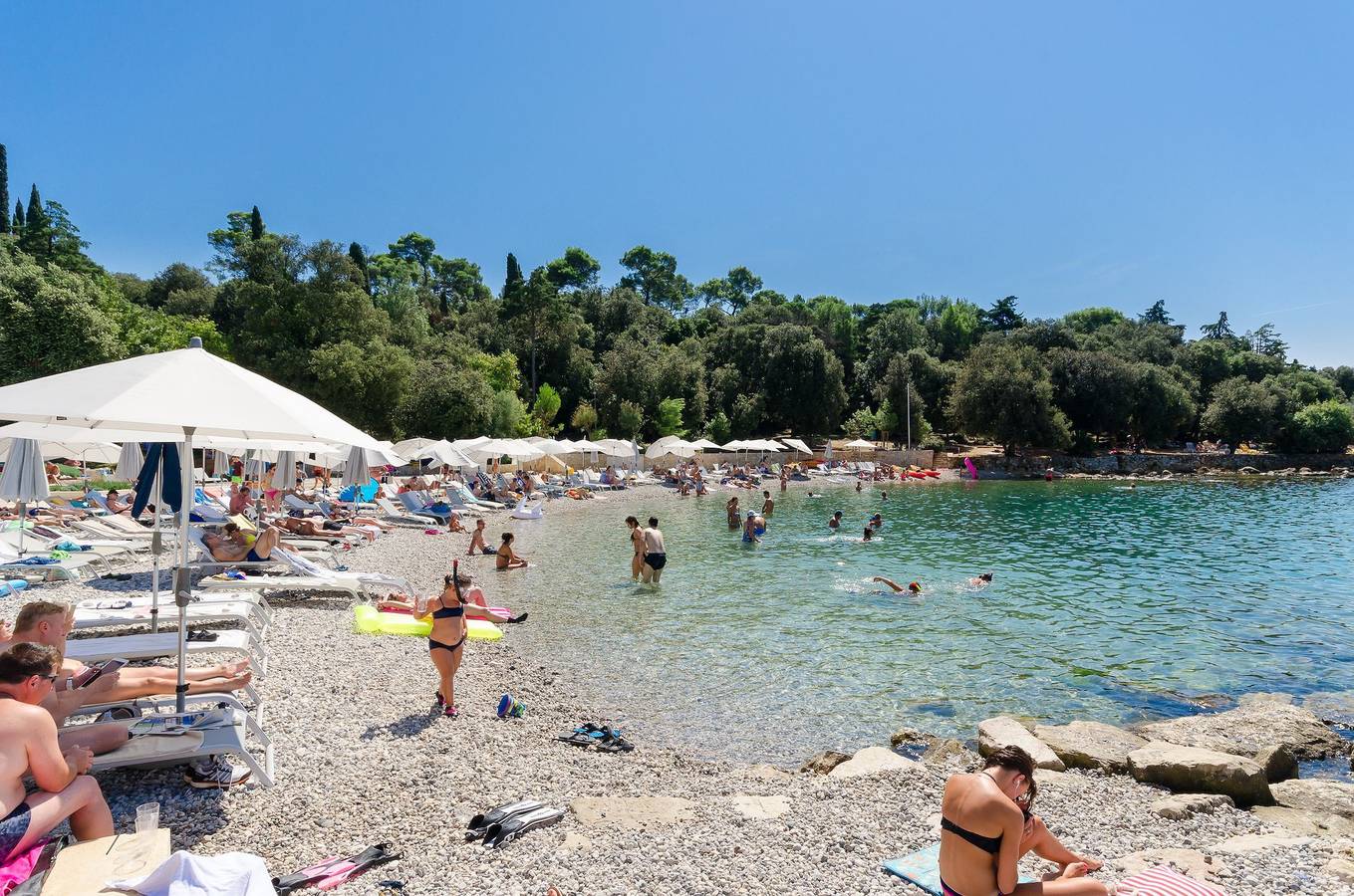 Appartamento vacanze a Rovigno a partire da 81€ a notte