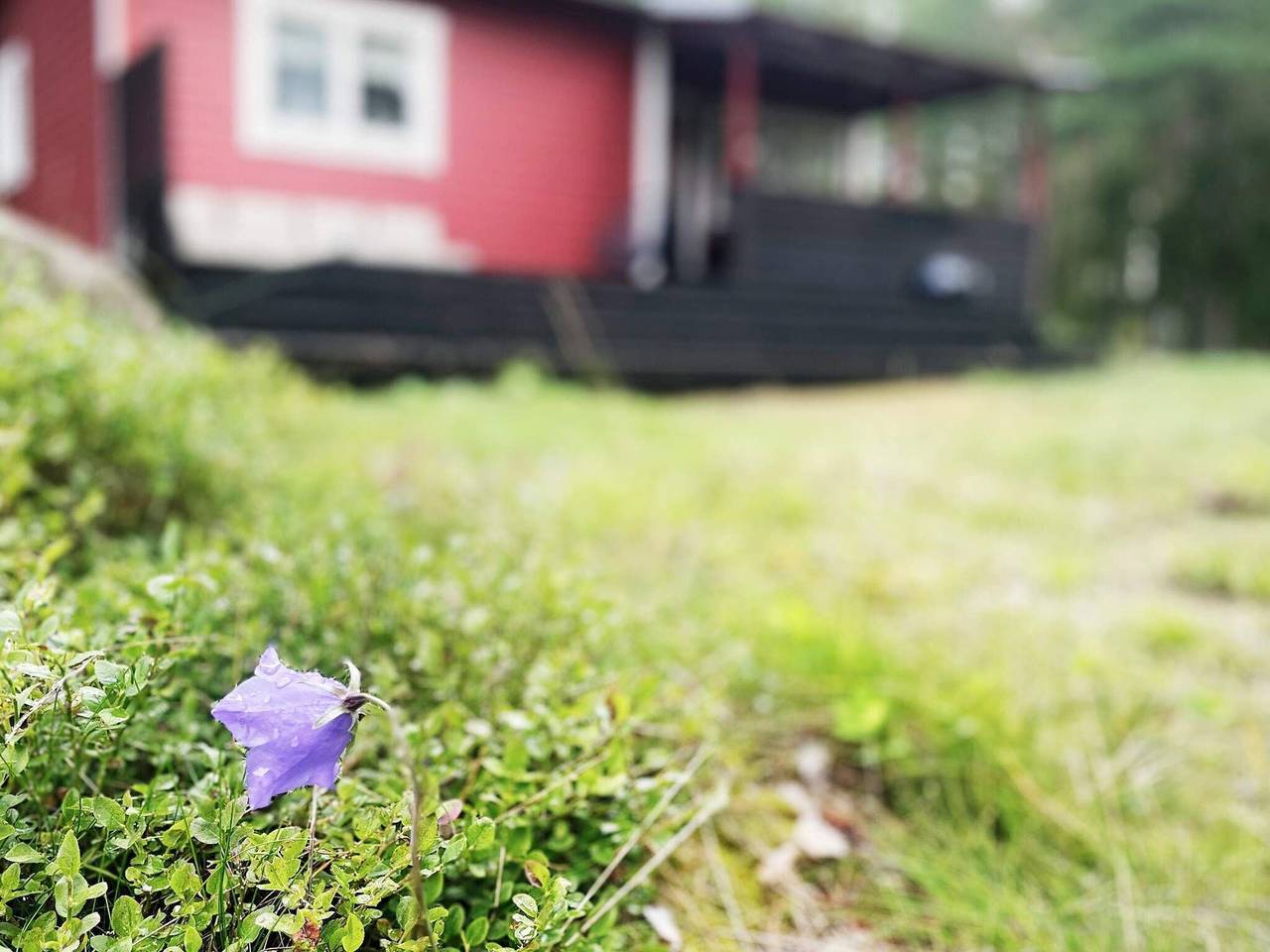 5 personer fritidhus i Djurhamn in Vindö