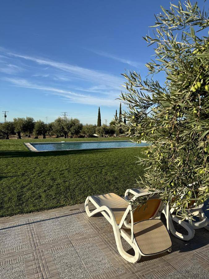 Casa de vacaciones para 10 personas, con jardín además de vistas y piscina, Se admiten mascotas en Montes de Toledo - 3