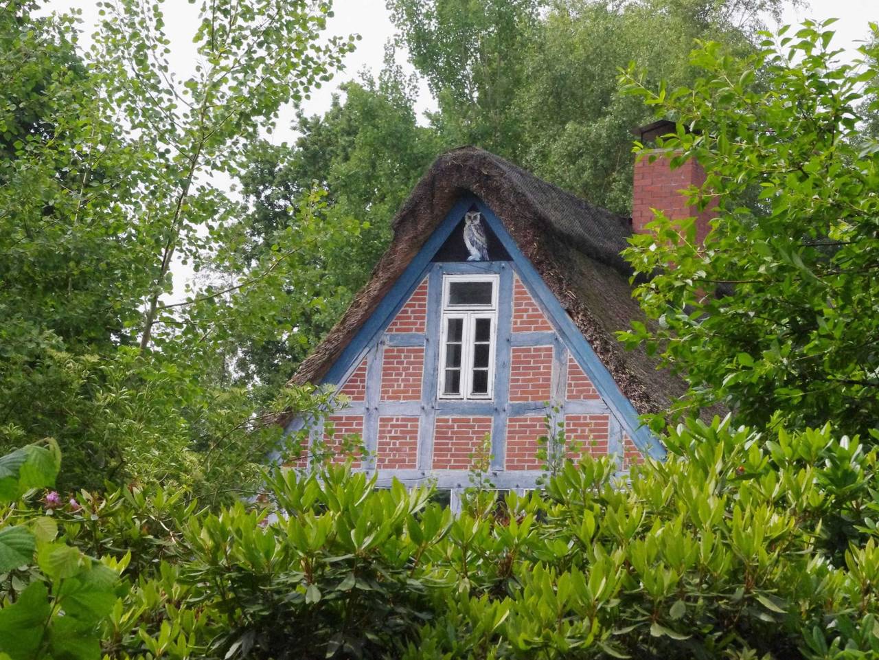 Ganze Ferienwohnung, Weidenhoff in Worpswede, Niedersachsen