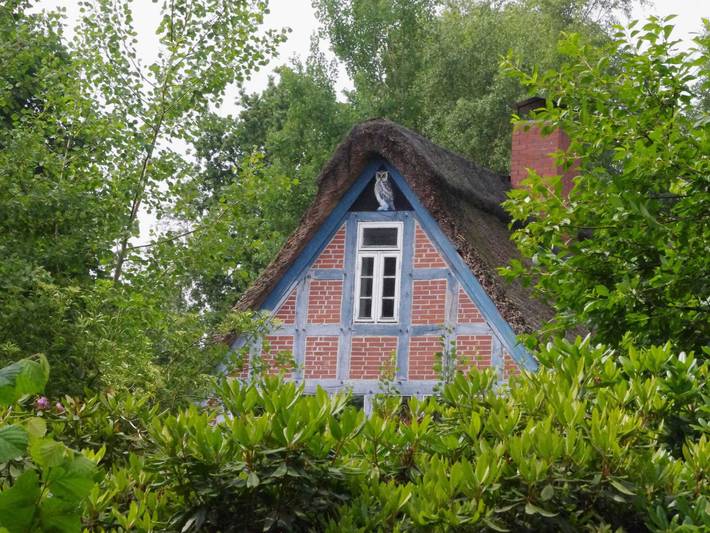 Ferienwohnung für 4 Personen, mit Terrasse und Garten, mit Haustier in Worpswede - 2