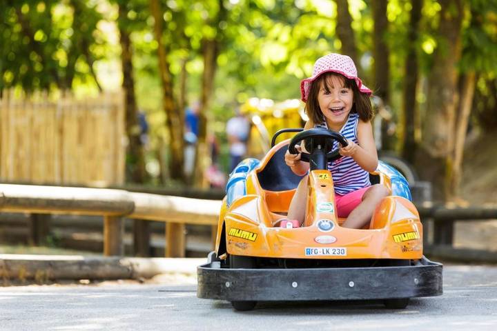 Parc de vacances pour 8 personnes, avec jardin et jacuzzi ainsi que piscine et sauna, animaux acceptés à Chaumont-sur-Tharonne - 4